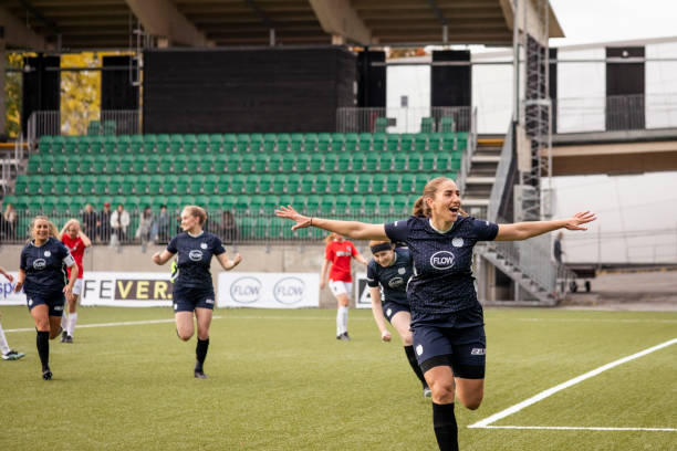 在欧洲吸取 在欧洲吸取